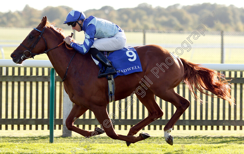 Skardu-0007 
 SKARDU (Martin Harley) wins The Derrinstown British EBF Maiden Stakes
Newmarket 28 Sep 2018 - Pic Steven Cargill / Racingfotos.com