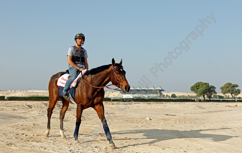 Magny-Cours-0006 
 MAGNY COURS exercising in preparation for Friday's Bahrain International Trophy
Sakhir Racecourse, Bahrain 17 Nov 2021 - Pic Steven Cargill / Racingfotos.com