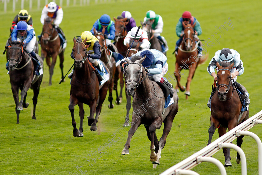 Harrow-0004 
 HARROW (Oisin Murphy) beats MAGLEV (right) in The OR8wellness EBF Stallions Nursery
York 19 Aug 2021 - Pic Steven Cargill / Racingfotos.com