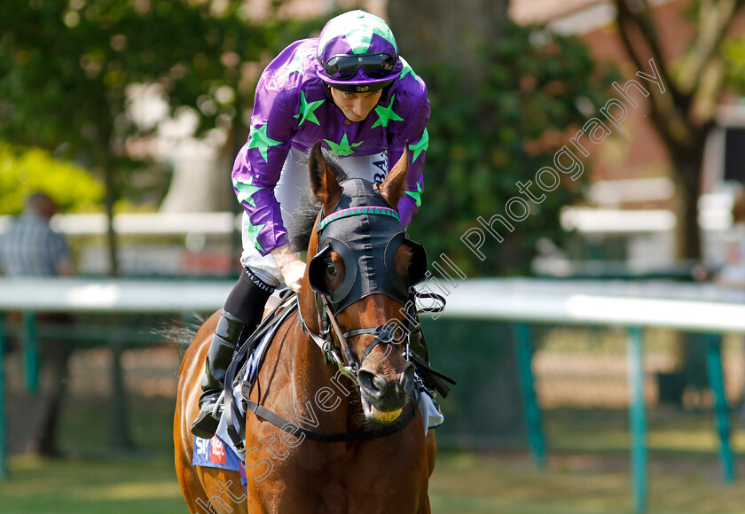 All-The-King s-Men-0001 
 ALL THE KING'S MEN (Ryan Moore)
Haydock 10 Jun 2023 - Pic Steven Cargill / Racingfotos.com