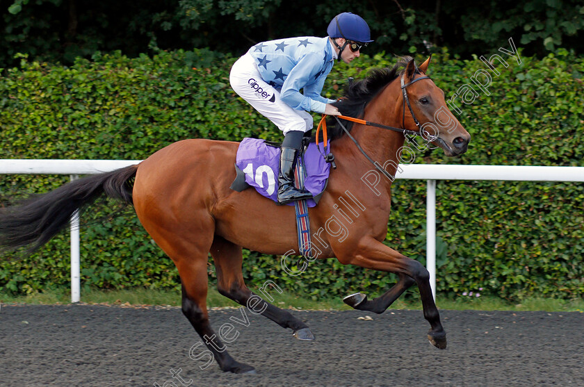 Surrey-Territories-0001 
 SURREY TERRITORIES (Kieran Shoemark)
Kempton 3 Sep 2021 - Pic Steven Cargill / Racingfotos.com