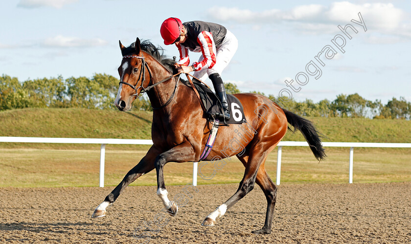 Selecto-0001 
 SELECTO (Jason Watson)
Chelmsford 4 Sep 2019 - Pic Steven Cargill / Racingfotos.com