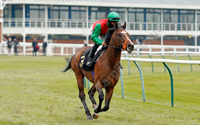 Royal-Tribute-0002 
 ROYAL TRIBUTE (Sean Levey)
Nottingham 27 Apr 2021 - Pic Steven Cargill / Racingfotos.com