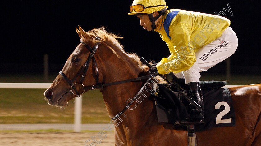 Cape-Abel-0002 
 CAPE ABEL (Howard Cheng)
Chelmsford 2 Jan 2020 - Pic Steven Cargill / Racingfotos.com