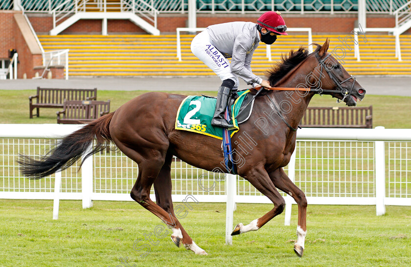 Watan-0001 
 WATAN (Pat Dobbs)
Newbury 19 Jul 2020 - Pic Steven Cargill / Racingfotos.com