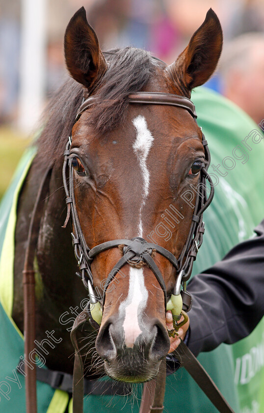 U-S-Navy-Flag-0008 
 U S NAVY FLAG after The Juddmonte Middle Park Stakes Newmarket 30 Sep 2017 - Pic Steven Cargill / Racingfotos.com