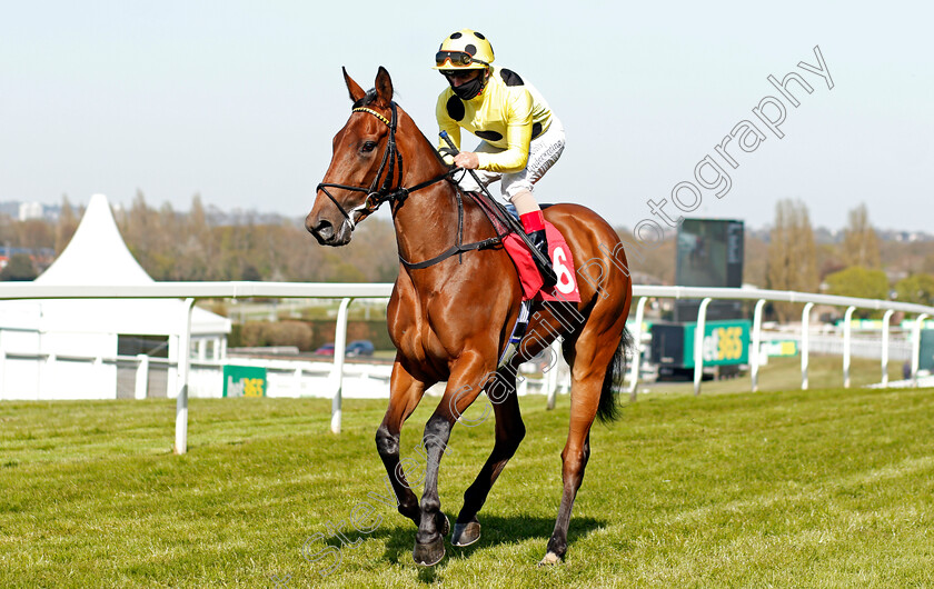 Royal-Harmony-0001 
 ROYAL HARMONY (Andrea Atzeni)
Sandown 23 Apr 2021 - Pic Steven Cargill / Racingfotos.com