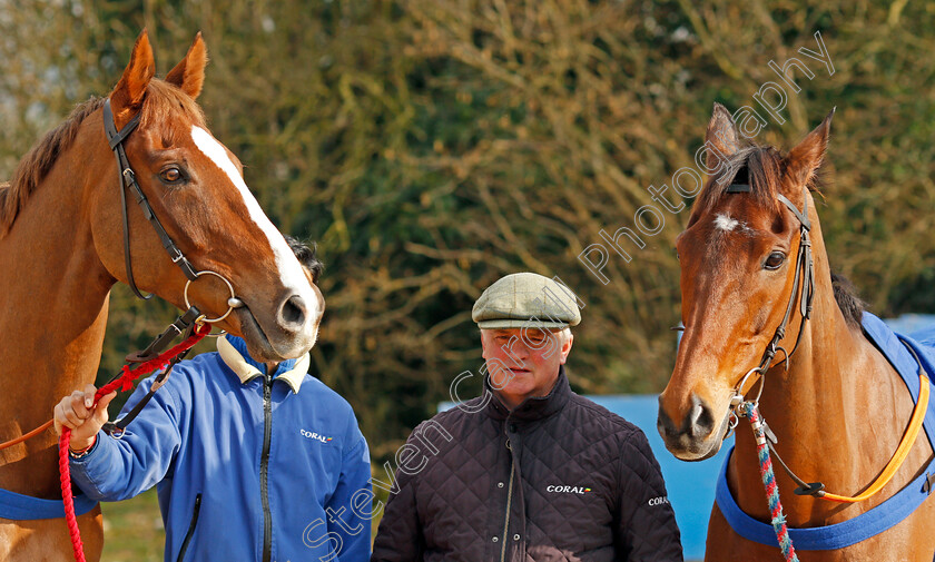 Native-River-and-Cue-Card-0004 
 NATIVE RIVER (left) and CUE CARD (right) with Colin Tizzard at his stables near Sherborne 21 Feb 2018 - Pic Steven Cargill / Racingfotos.com