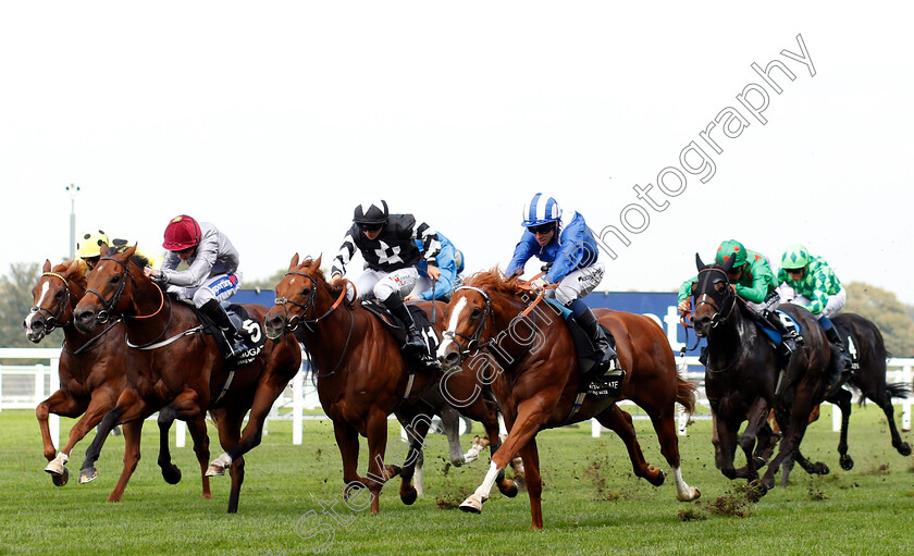 Tabdeed-0001 
 TABDEED (right, Jim Crowley) beats ALJADY (left) in The Original Harrogate Water Handicap
Ascot 5 Oct 2018 - Pic Steven Cargill / Racingfotos.com