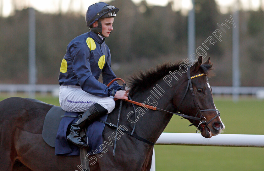 Breathless-Times-0002 
 BREATHLESS TIMES (Adam McNamara) winner of The Betway Novice Stakes Wolverhampton 4 Jan 2018 - Pic Steven Cargill / Racingfotos.com