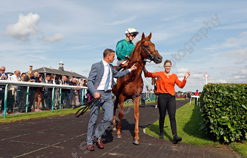 Scope-0001 
 SCOPE (Rob Hornby)
Doncaster 11 Sep 2021 - Pic Steven Cargill / Racingfotos.com