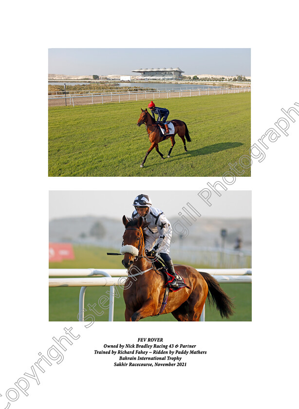 Fev-Rover-0002in0001-upright 
 FEV ROVER (Paddy Mathers) exercising in preparation for Friday's Bahrain International Trophy
Sakhir Racecourse, Bahrain 18 Nov 2021 - Pic Steven Cargill / Racingfotos.co