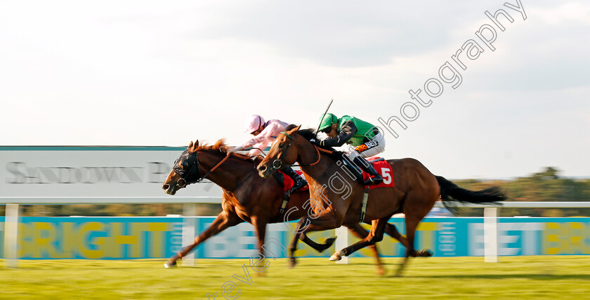 Glorious-Forever-0003 
 GLORIOUS FOREVER (Pat Cosgrave) beats SWILLY SUNSET (right) in The BetBright Handicap Sandown 2 Sep 2017 - Pic Steven Cargill / Racingfotos.com