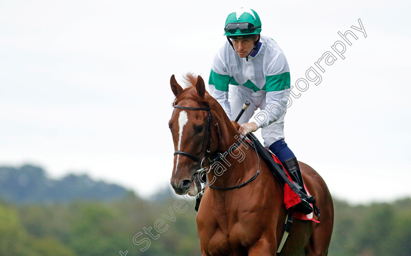 Betelgeuse-0002 
 BETELGEUSE (Jim Crowley)
Sandown 8 Aug 2024 - Pic Steven Cargill / Racingfotos.com