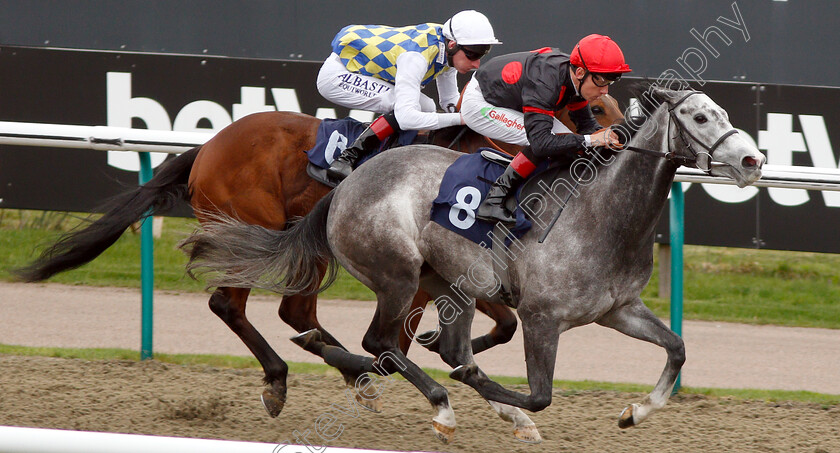 Gold-Filigree-0004 
 GOLD FILIGREE (Shane Kelly) wins The Betway Casino Handicap
Lingfield 23 Mar 2019 - Pic Steven Cargill / Racingfotos.com