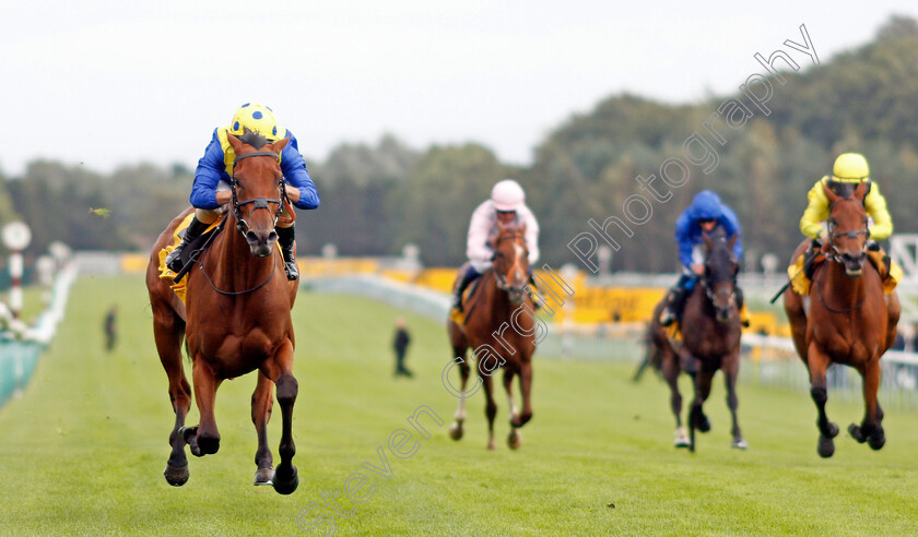 Favorite-Moon-0003 
 FAVORITE MOON (Andrea Atzeni) wins The Best Odds On Betfair Exchange Handicap
Haydock 5 Sep 2020 - Pic Steven Cargill / Racingfotos.com