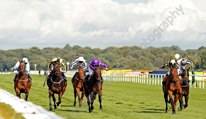 Encore-D Or-0001 
 ENCORE D'OR (right, Ryan Moore) beats RAZZMATAZZ (centre) and GO ON GO ON GO ON (2nd left) in The Pepsi Max Scarbrough Stakes Doncaster 13 Sep 2017 - Pic Steven Cargill / Racingfotos.com