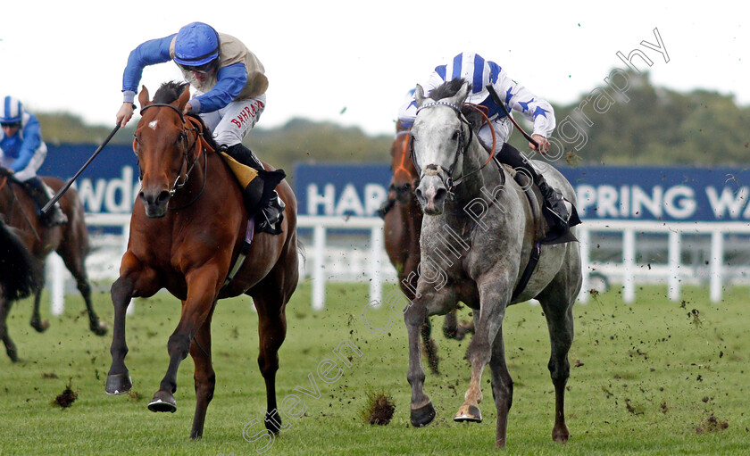 Dark-Shift-0002 
 DARK SHIFT (right, Daniel Tudhope) beats BONNEVAL (left) in The Racing To School Classified Stakes
Ascot 1 Oct 2021 - Pic Steven Cargill / Racingfotos.com