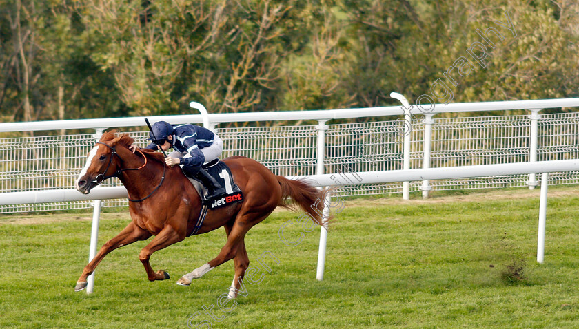 Autumn-War-0004 
 AUTUMN WAR (Callum Shepherd) wins The netbet.co.uk Novice Stakes
Goodwood 4 Sep 2018 - Pic Steven Cargill / Racingfotos.com