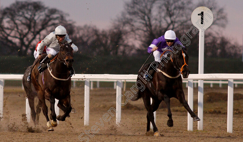 Fen-Breeze-0001 
 FEN BREEZE (right, Nicky Mackay) beats KEY TO POWER (left) in The £20 Free Bets At totesport.com Novice Stakes
Chelmsford 20 Feb 2019 - Pic Steven Cargill / Racingfotos.com