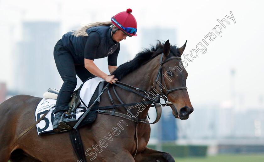 Trevaunance-0001 
 TREVAUNANCE training at the Dubai Racing Carnival
Meydan 1 Feb 2024 - Pic Steven Cargill / Racingfotos.com