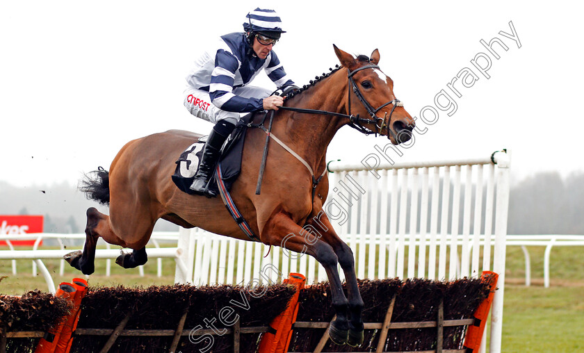 Angels-Antics-0001 
 ANGELS ANTICS (Davy Russell) Newbury 2 Dec 2017 - Pic Steven Cargill / Racingfotos.com