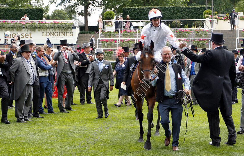 Signora-Cabello-0007 
 SIGNORA CABELLO (Oisin Murphy) after The Queen Mary Stakes 
Royal Ascot 20 Jun 2018 - Pic Steven Cargill / Racingfotos.com