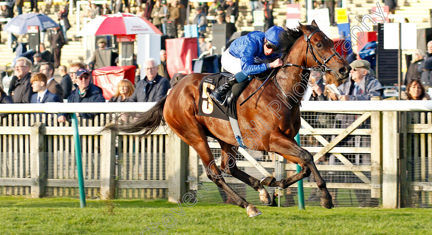 Zakouski-0002 
 ZAKOUSKI (William Buick) wins The 888sport Ben Marshall Stakes
Newmarket 30 Oct 2021 - Pic Steven Cargill / Racingfotos.com