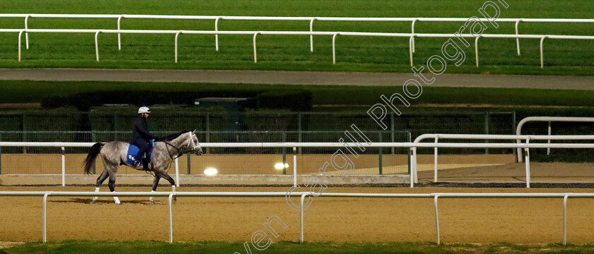 Saudi-Crown-0003 
 SAUDI CROWN out on track at 4am
Meydan, Dubai 1 Mar 2024 - Pic Steven Cargill / Racingfotos.com