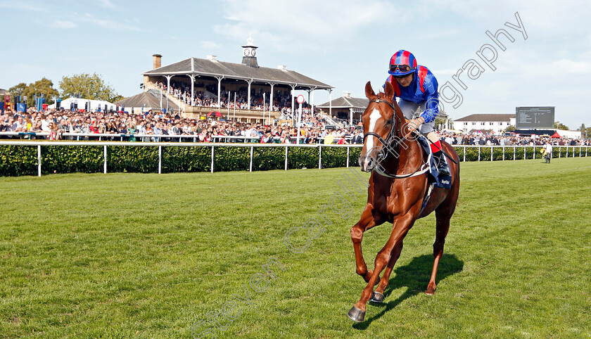 Nayef-Road-0002 
 NAYEF ROAD (Andrea Atzeni)
Doncaster 14 Sep 2019 - Pic Steven Cargill / Racingfotos.com