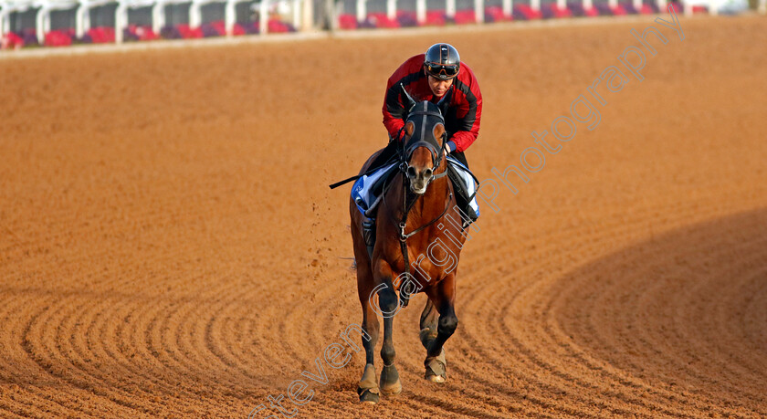 Lauda-Sion-0001 
 LAUDA SION training for The 1351 Turf Sprint
King Abdulaziz Racecourse, Kingdom of Saudi Arabia, 22 Feb 2023 - Pic Steven Cargill / Racingfotos.com