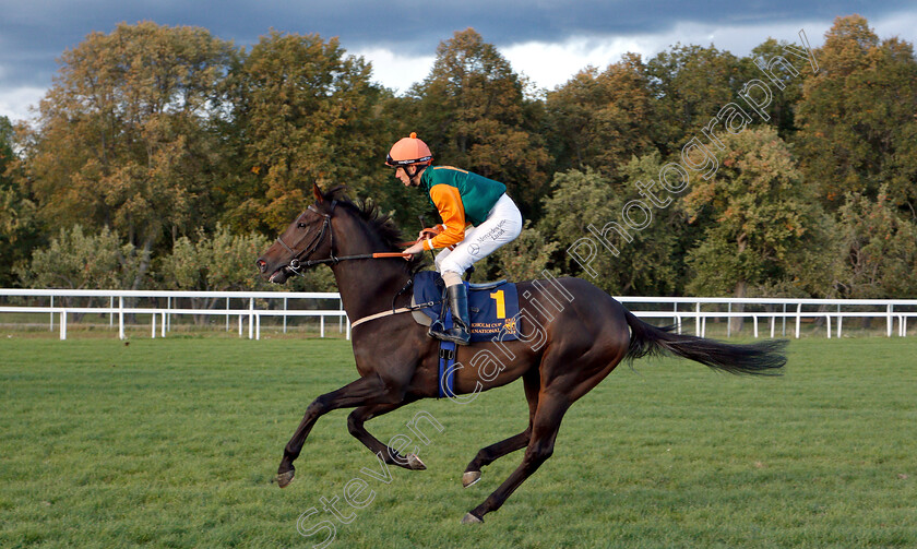 Bokan-0001 
 BOKAN (Jacob Johansen)
Bro Park, Sweden 23 Sep 2018 - Pic Steven Cargill / Racingfotos.com