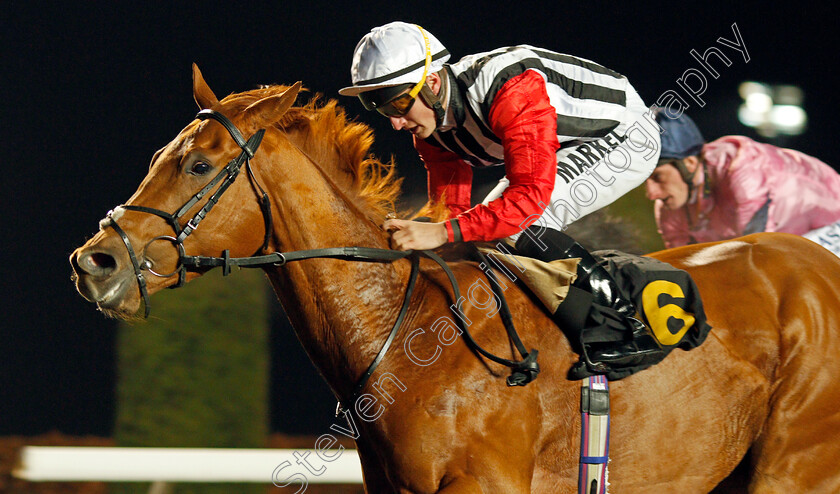 Harry s-Bar-0006 
 HARRY'S BAR (Tom Marquand) wins The 32Red.com Handicap
Kempton 4 Dec 2019 - Pic Steven Cargill / Racingfotos.com