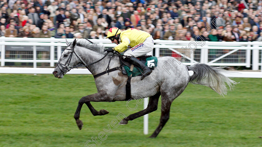 Aux-Ptits-Soins-0003 
 AUX PTITS SOINS (Harry Skelton) wins The Simplify Horse Racing Selections With Betfinder At BetBright Handicap Hurdle
Cheltenham 1 Jan 2019 - Pic Steven Cargill / Racingfotos.com