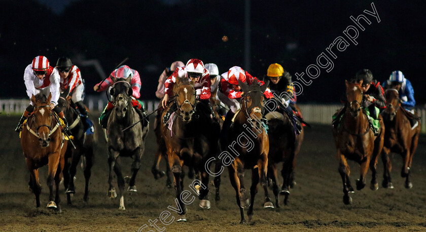 Kalamunda-0004 
 KALAMUNDA (left, Daniel Muscutt) beats NATIVE KING (right) in The North Farm Stud Handicap Div1
Kempton 2 Oct 2024 - Pic Steven Cargill / Racingfotos.com