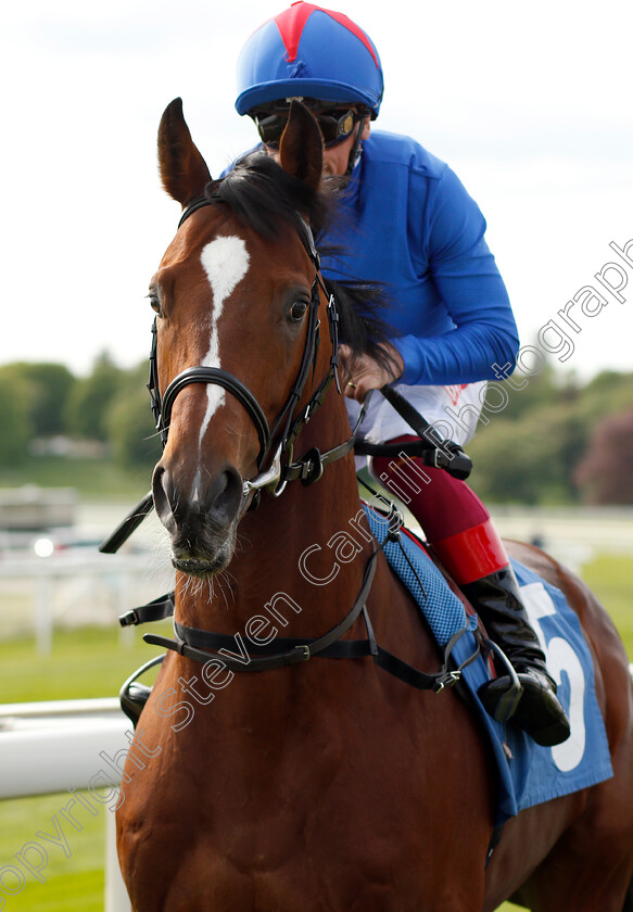 Kessaar-0001 
 KESSAAR (Frankie Dettori)
York 17 May 2018 - Pic Steven Cargill / Racingfotos.com