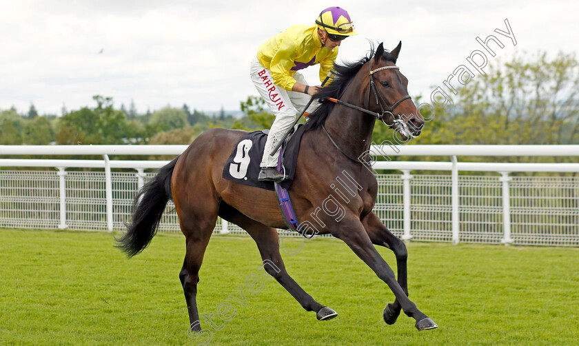 Sea-Silk-Road-0002 
 SEA SILK ROAD (Tom Marquand) winner of The William Hill Height Of Fashion Stakes
Goodwood 20 May 2022 - Pic Steven Cargill / Racingfotos.com