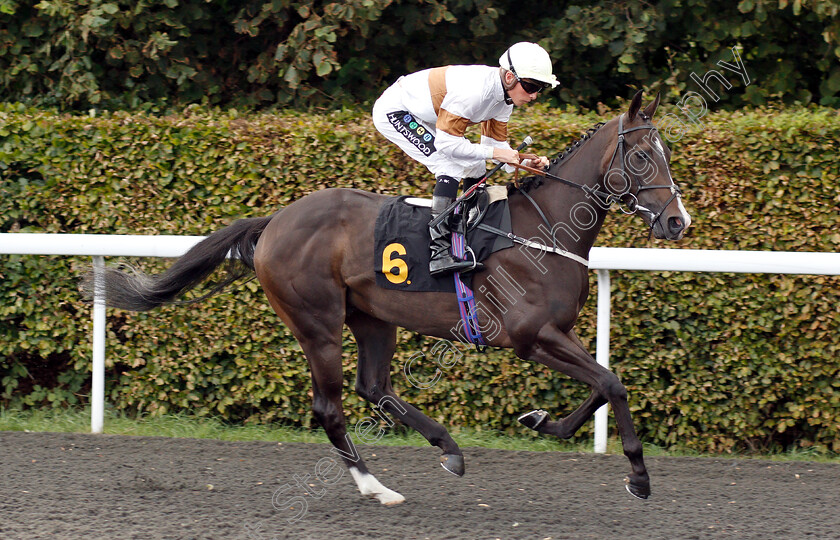 Dream-Catching-0001 
 DREAM CATCHING (Jason Watson) before winning The 32Red On The App Store Handicap
Kempton 18 Sep 2018 - Pic Steven Cargill / Racingfotos.com