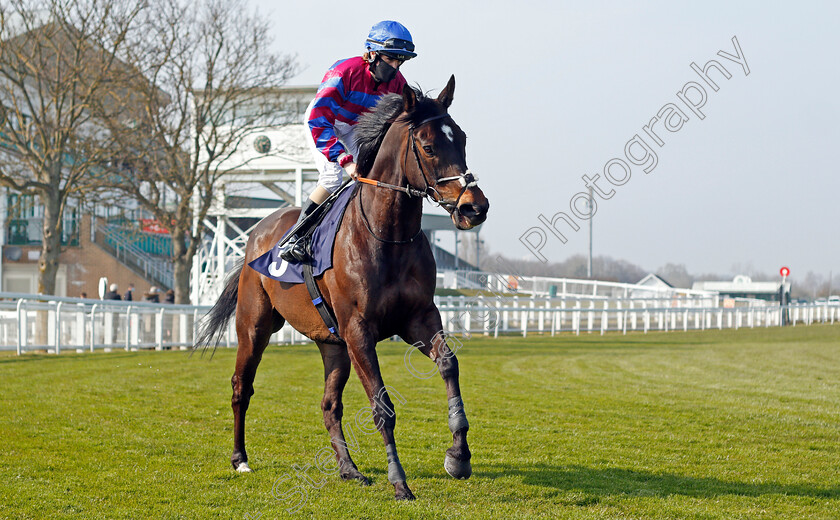 Country n western-0001 
 COUNTRY'N'WESTERN (Molly Presland)
Yarmouth 20 Apr 2021 - Pic Steven Cargill / Racingfotos.com