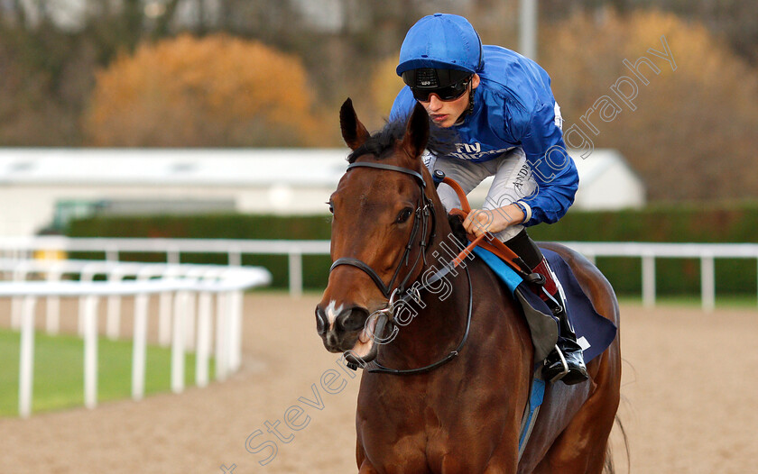 Firebird-Song-0001 
 FIREBIRD SONG (George Wood) winner of The Ladbrokes Home Of The Odds Boost Fillies Novice Stakers Div2
Wolverhampton 28 Nov 2018 - Pic Steven Cargill / Racingfotos.com