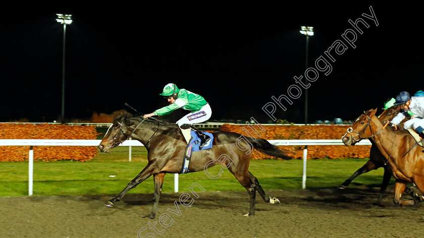 Elladonna-0001 
 ELLADONNA (Daniel Muscutt) wins The Thank You O&T Chef Johann Fillies Handicap
Kempton 6 Dec 2023 - Pic Steven Cargill / Racingfotos.com