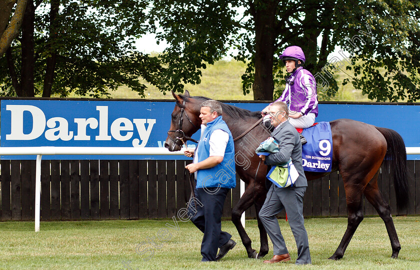 Ten-Sovereigns-0014 
 TEN SOVEREIGNS (Ryan Moore) after The Darley July Cup
Newmarket 13 Jul 2019 - Pic Steven Cargill / Racingfotos.com