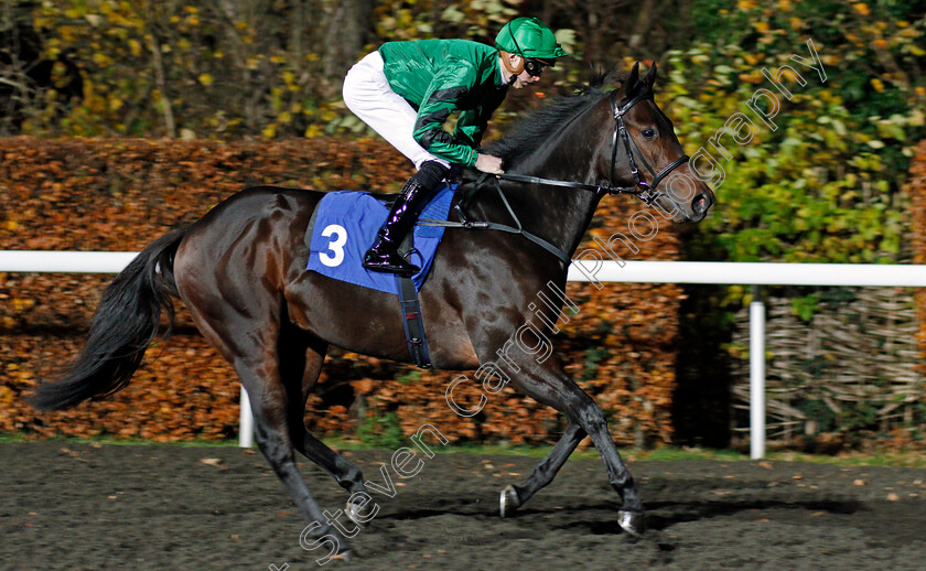 Daltrey-0001 
 DALTREY (James Doyle) Kempton 22 Nov 2017 - Pic Steven Cargill / Racingfotos.com