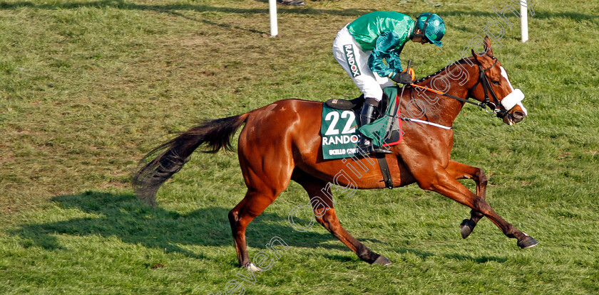 Ucello-Conti-0001 
 UCELLO CONTI (Daryl Jacob) Aintree 14 Apr 2018 - Pic Steven Cargill / Racingfotos.com