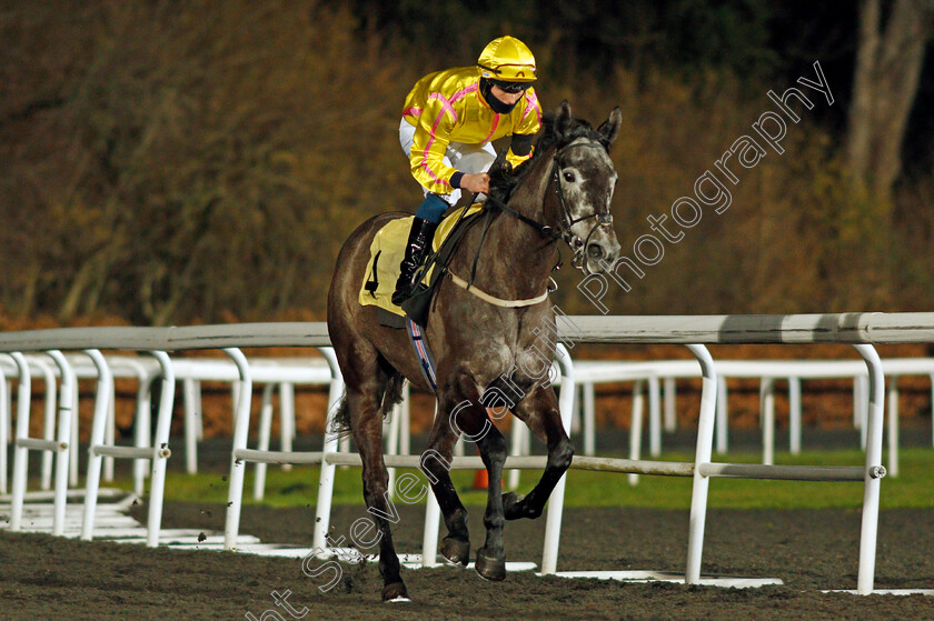 Filles-De-Fleur-0002 
 FILLES DE FLEUR (Rhys Clutterbuck)
Kempton 3 Feb 2021 - Pic Steven Cargill / Racingfotos.com