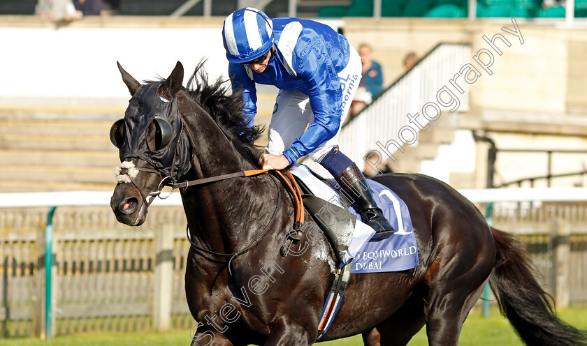 Mutasaabeq-0008 
 MUTASAABEQ (Jim Crowley) winner of The Al Basti Equiworld Dubai Joel Stakes
Newmarket 29 Sep 2023 - Pic Steven Cargill / Racingfotos.com