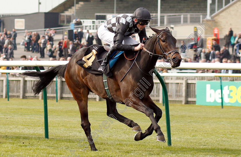 Lavender s-Blue-0004 
 LAVENDER'S BLUE (Robert Havlin) wins The bet365 EBF Fillies Maiden Stakes Div2
Newmarket 16 Apr 2019 - Pic Steven Cargill / Racingfotos.com