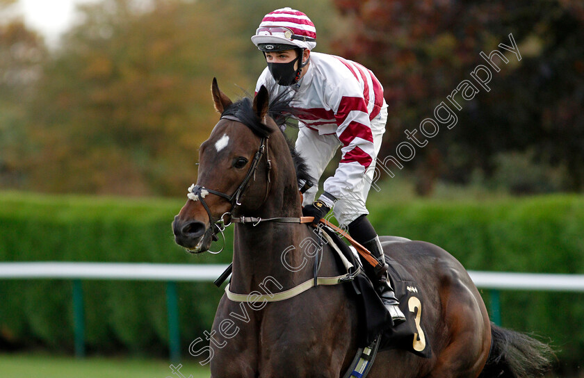 Atty s-Edge-0001 
 ATTY'S EDGE (Charles Bishop)
Nottingham 14 Oct 2020 - Pic Steven Cargill / Racingfotos.com