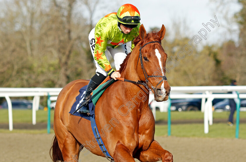 Bricklagger 
 BRICKLAGGER (Nicola Currie)
Lingfield 5 Feb 2022 - Pic Steven Cargill / Racingfotos.com