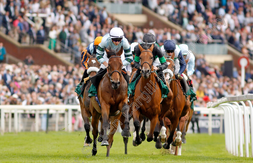 Quickthorn-0003 
 QUICKTHORN (left, Tom Marquand) leads RIVER OF STARS (Rossa Ryan, right)
York 25 Aug 2023 - Pic Steven Cargill / Racingfotos.com